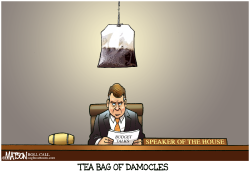 TEA BAG OF DAMOCLES- by R.J. Matson