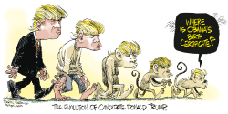 DONALD TRUMP BIRTHER  by Daryl Cagle