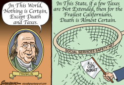 CALIF SAFETY NET BUDGET CUTS by Steve Greenberg