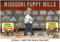 LOCAL MO-PUPPY MILL REGULATION REPEAL- by RJ Matson