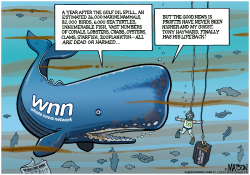 WHALE NEWS NETWORK COVERS GULF OIL SPILL ANNIVERSARY- by R.J. Matson