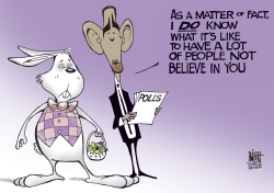 THE OBAMA BUNNY,  by Randy Bish