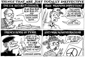 INEFFECTIVE THINGS by Monte Wolverton