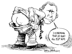 BUSH CONDEMNS 527 ADS by Daryl Cagle