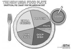 UNOFFICIAL NEW USDA FOOD PLATE by R.J. Matson