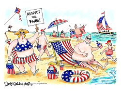 FLAG DAY AND RESPECT by Dave Granlund