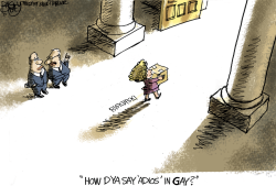 LOCAL THE LONG GAY-BYE by Pat Bagley