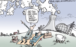 NUCLEAR REGULATORY COMMISSION  by Mike Keefe