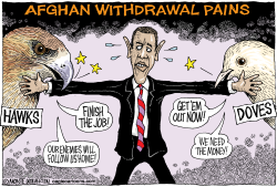 AFGHAN WITHDRAWAL PAINS  by Monte Wolverton