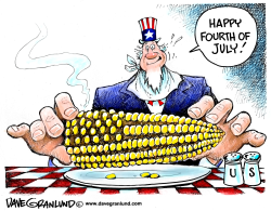 HAPPY 4TH OF JULY by Dave Granlund