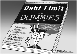 DEBT LIMIT FOR DUMMIES by R.J. Matson