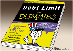 DEBT LIMIT FOR DUMMIES- by R.J. Matson