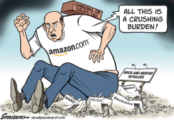 AMAZON  SALES TAX NATIONAL by Steve Greenberg