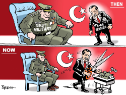TURKEY'S MILITARY  by Paresh Nath