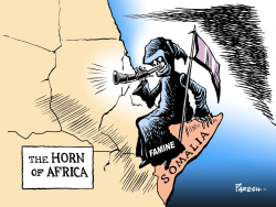 THE HORN OF AFRICA  by Paresh Nath