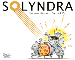 SOLYNDRA SUNBATHER  by John Cole