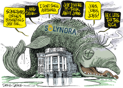 Stinky Solyndra  by Daryl Cagle