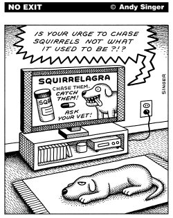 SQUIRRELAGRA by Andy Singer
