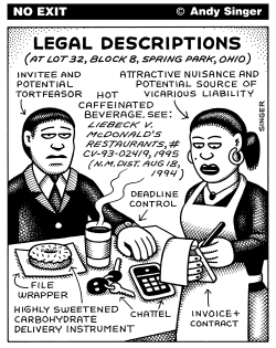 LEGAL DESCRIPTIONS by Andy Singer