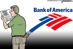 BANK OF AMERICA FEES by Steve Greenberg