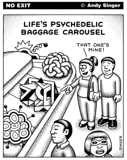 LIFES PSYCHEDELIC BAGGAGE CAROUSEL by Andy Singer
