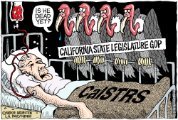 LOCAL-CA CALSTRS VULTURES  by Monte Wolverton