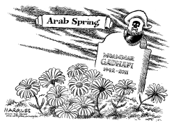 ARAB SPRING by Jimmy Margulies