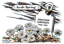 ARAB SPRING  by Jimmy Margulies