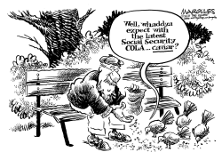 SOCIAL SECURITY COLA  by Jimmy Margulies