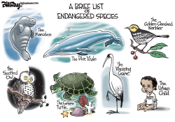 ENDANGERED  by Bill Day